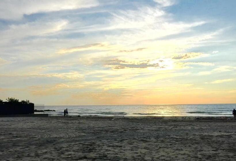 Отель President