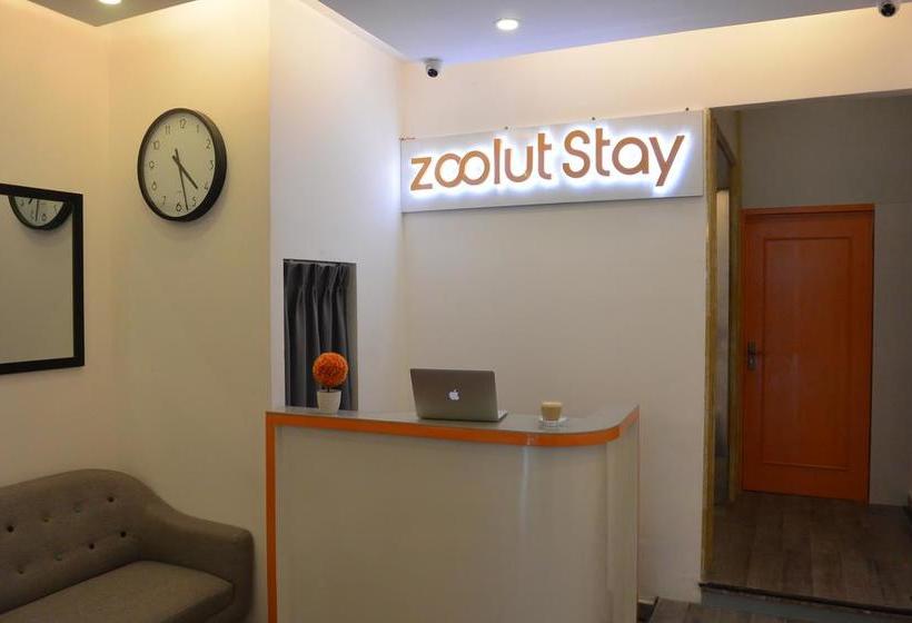 هتل Zoolut Stay 271