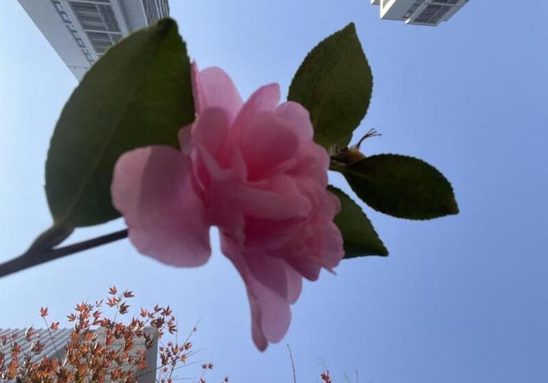 Greentree Eastern Hotel Yiwu International Trade City