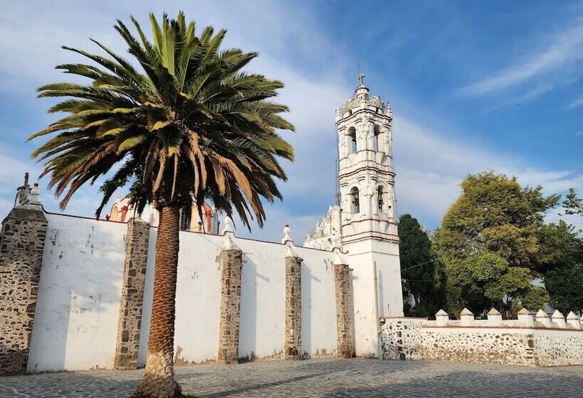 پانسیون La Palma Coliving