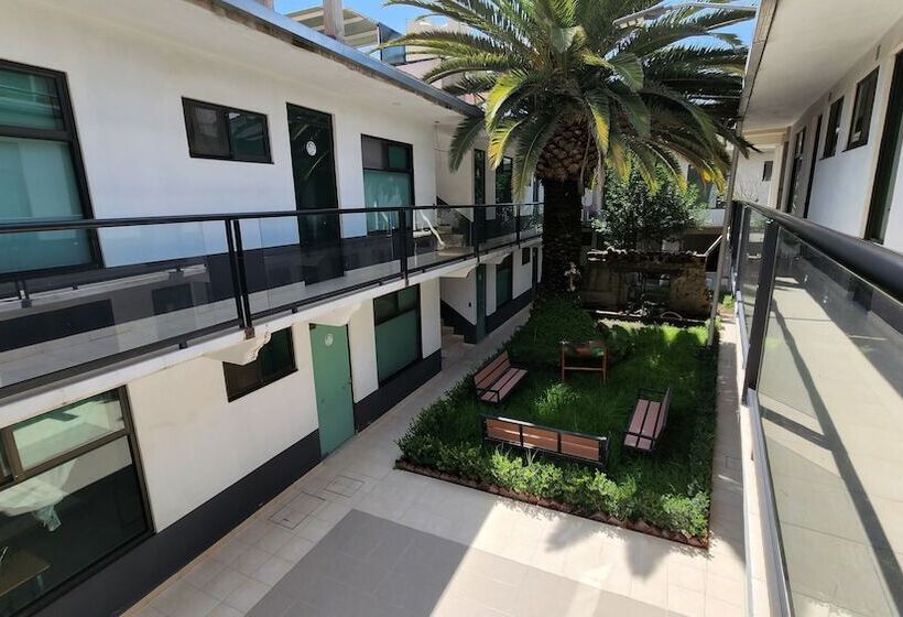 پانسیون La Palma Coliving