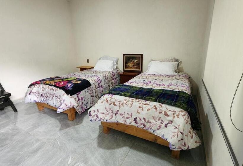 پانسیون La Palma Coliving