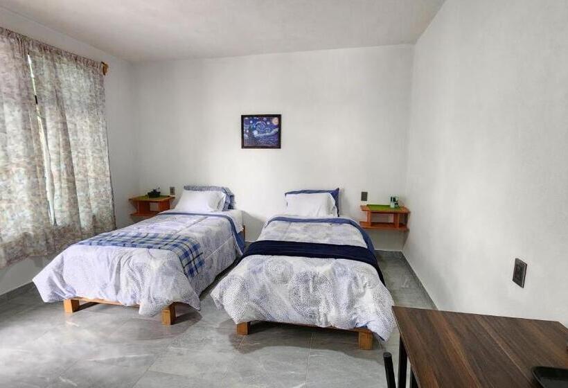 پانسیون La Palma Coliving