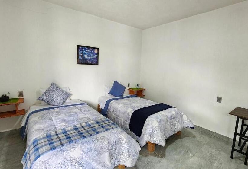 پانسیون La Palma Coliving