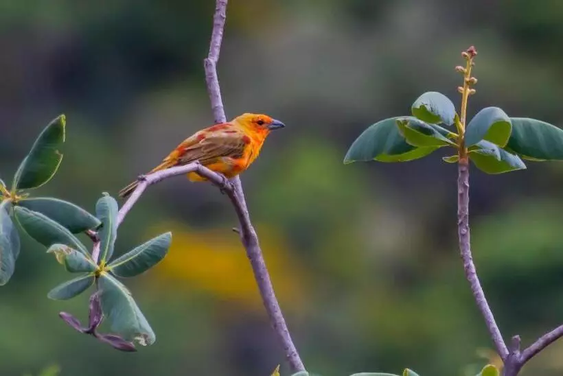 ユースホステル Villa Madorna