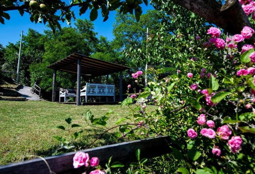 بنسيون 202   Camera Mansardata Tra Le Cinque Terre E Portofino   Residence Cherry House