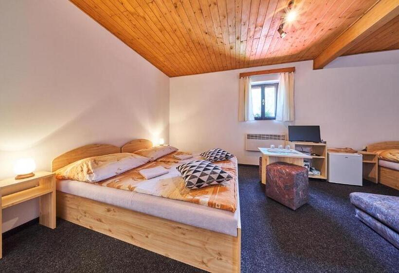 פנסיון Penzion Pod Lesem