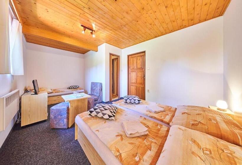 פנסיון Penzion Pod Lesem