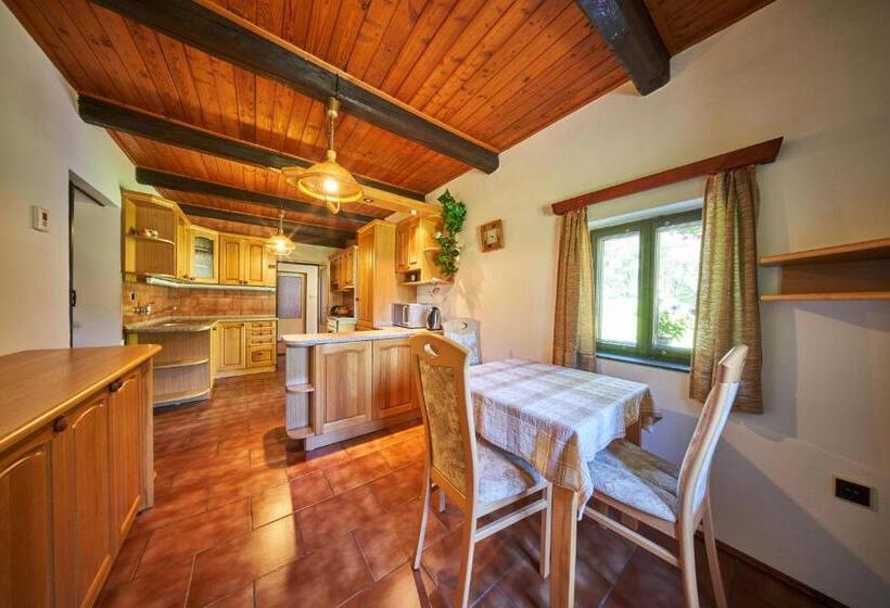 פנסיון Penzion Pod Lesem