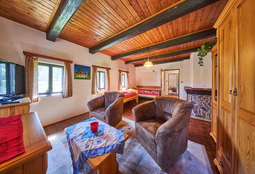 פנסיון Penzion Pod Lesem