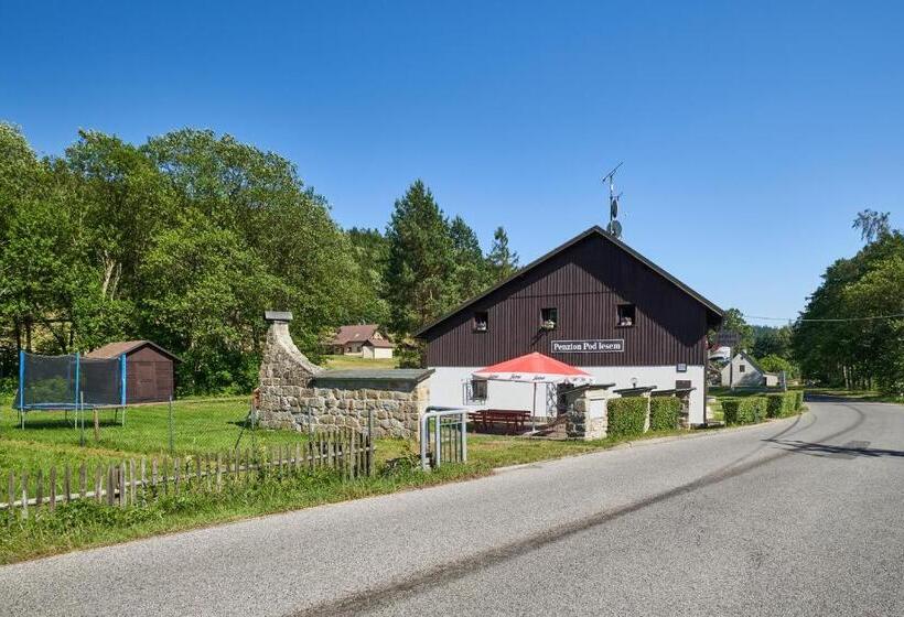 פנסיון Penzion Pod Lesem