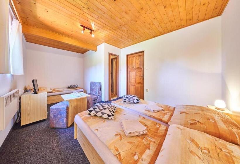 פנסיון Penzion Pod Lesem