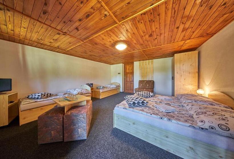 פנסיון Penzion Pod Lesem