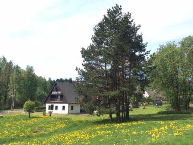 פנסיון Penzion Pod Lesem