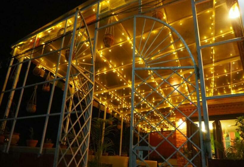 پانسیون The Nest Guest House