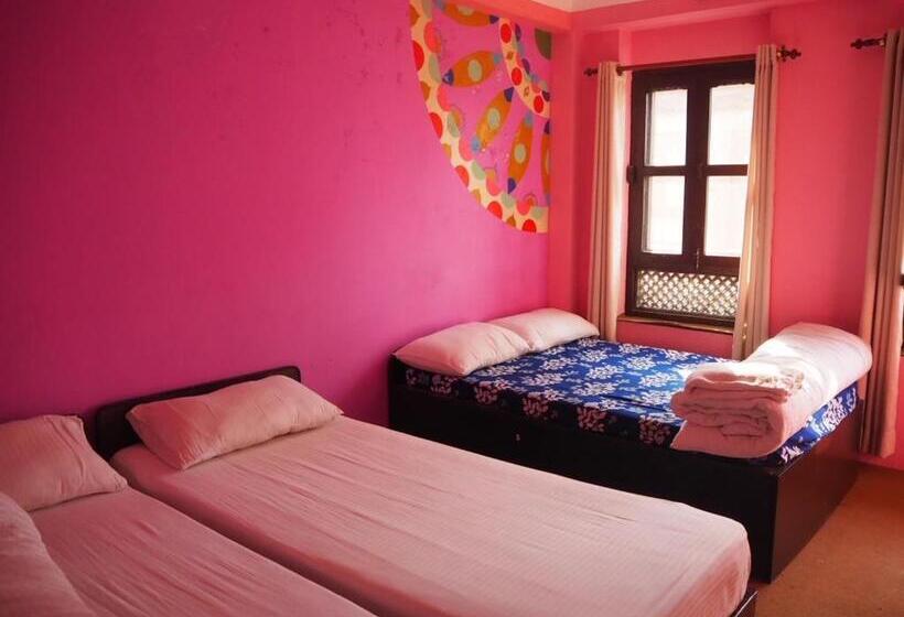 پانسیون The Nest Guest House