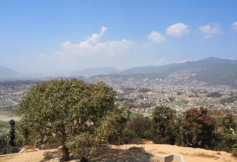 پانسیون The Nest Guest House