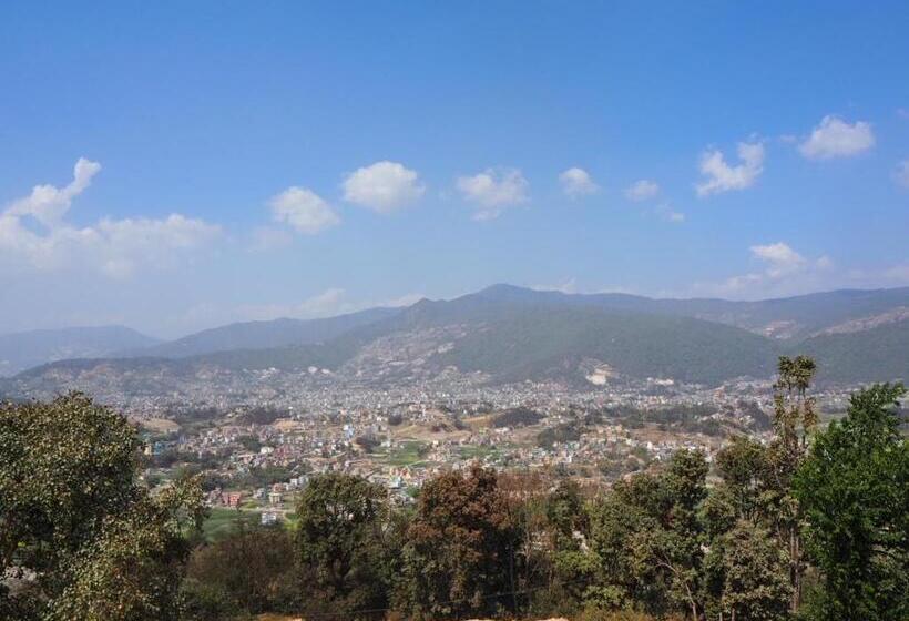 پانسیون The Nest Guest House