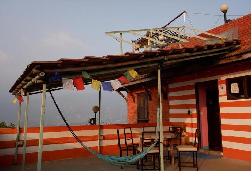 پانسیون The Nest Guest House