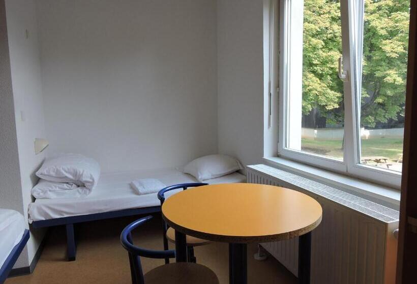 Общежитие Auberge De Jeunesse De Mulhouse