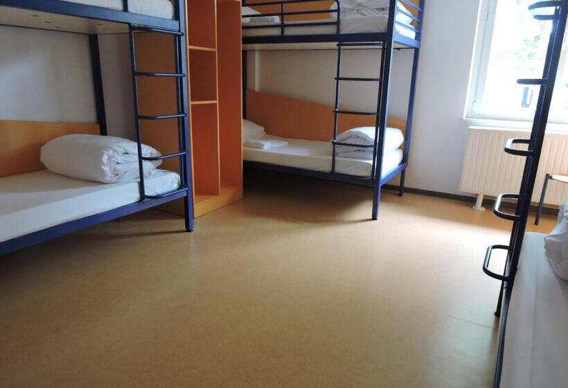 Общежитие Auberge De Jeunesse De Mulhouse