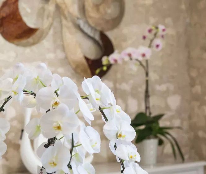ベッドアンドブレックファースト Gite Les Orchidées Du Vaudelnay