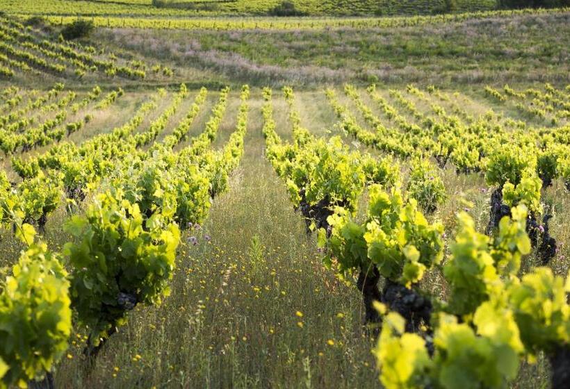 مبيت وإفطار Chateau Autignac