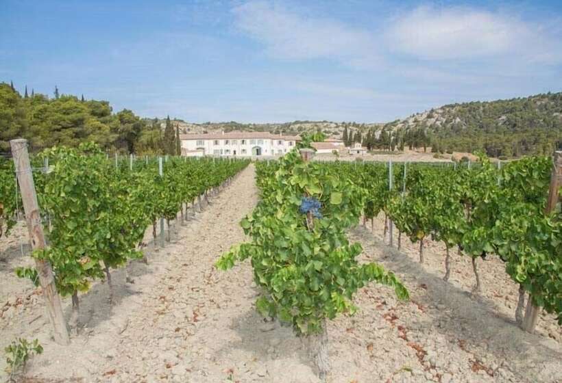 تختخواب و صبحانه Domaine De Saint Obre