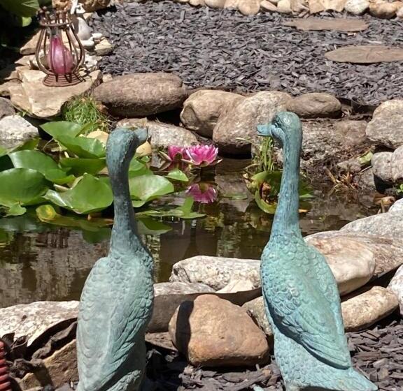 Bed and Breakfast La Maison D Ivona