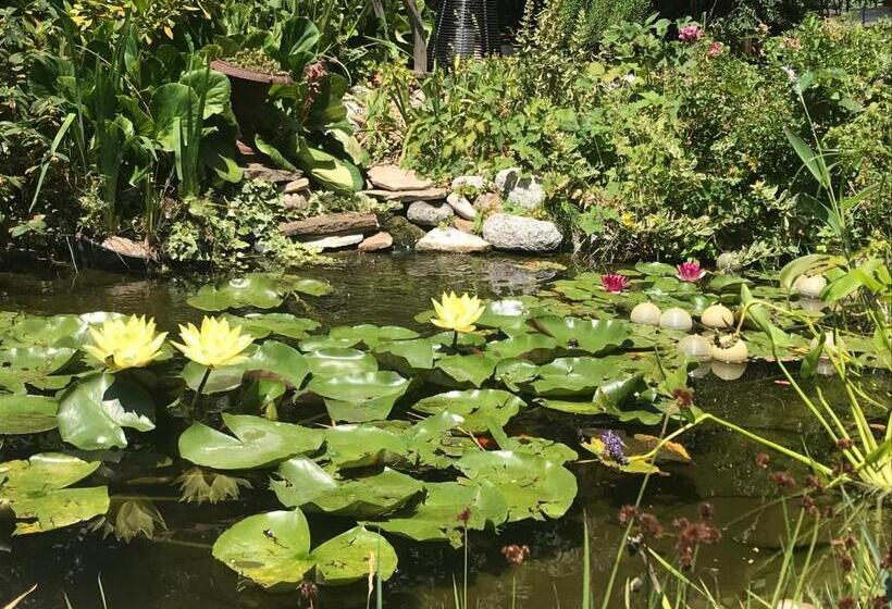 Bed and Breakfast La Maison D Ivona