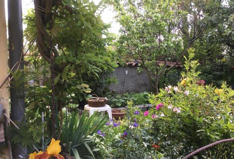 Bed and Breakfast La Maison D Ivona