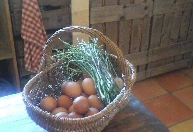 Aamiaismajoitus (B&B) La Maison De Campagne