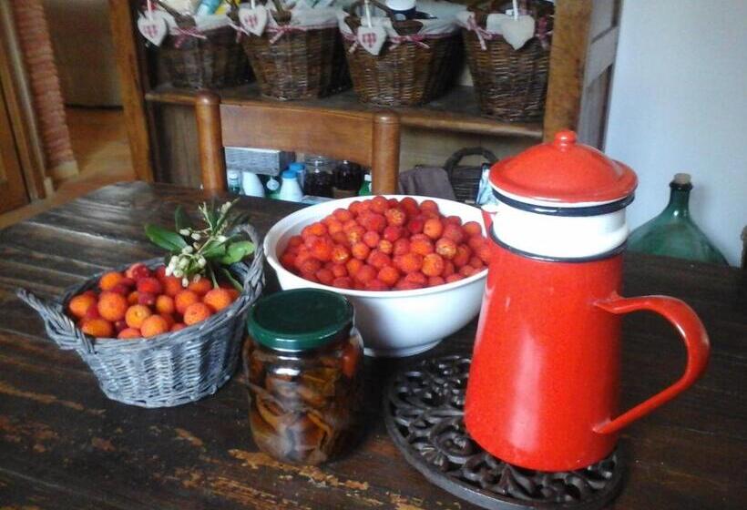 민박 La Maison De Campagne