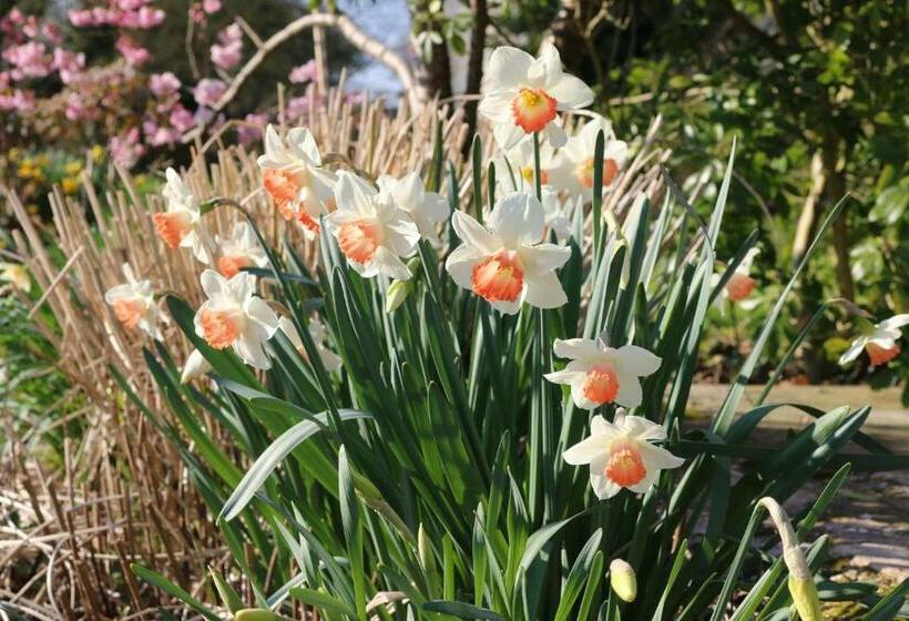 ベッドアンドブレックファースト Le Bourgis