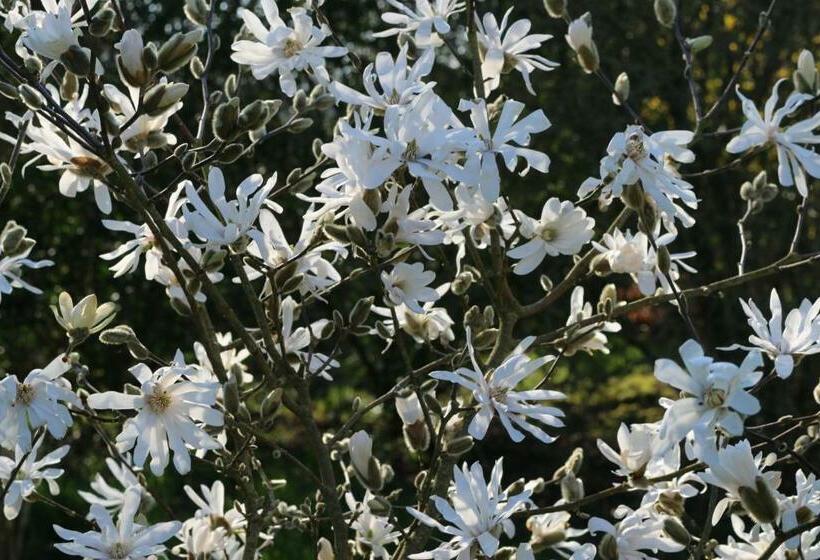 ベッドアンドブレックファースト Le Bourgis