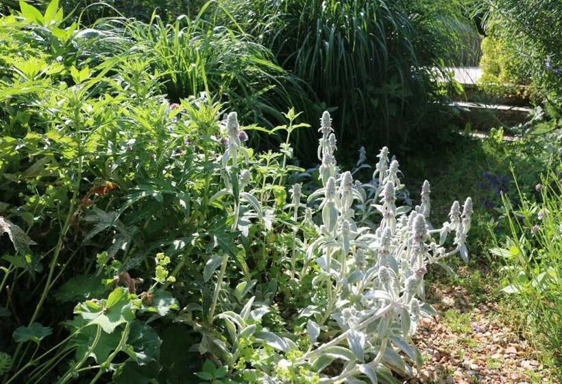 ベッドアンドブレックファースト Le Bourgis