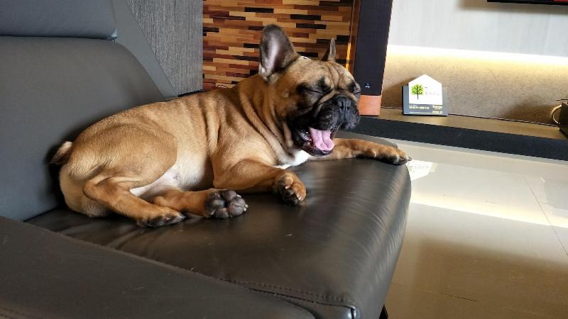 تختخواب و صبحانه 川岸空中villa