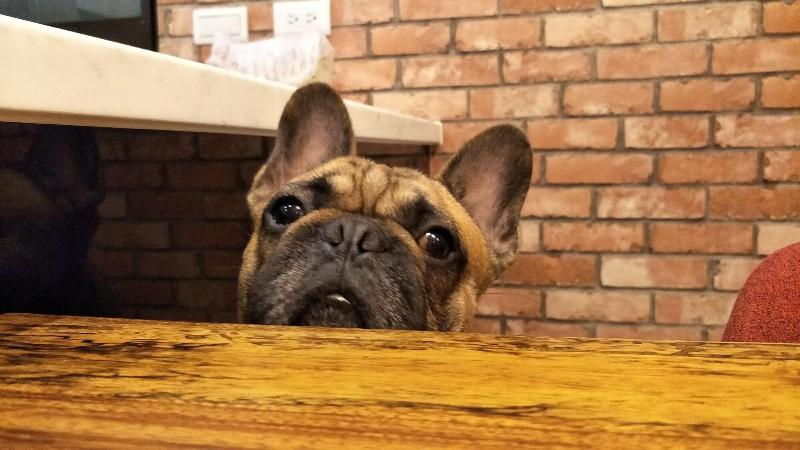 تختخواب و صبحانه 川岸空中villa