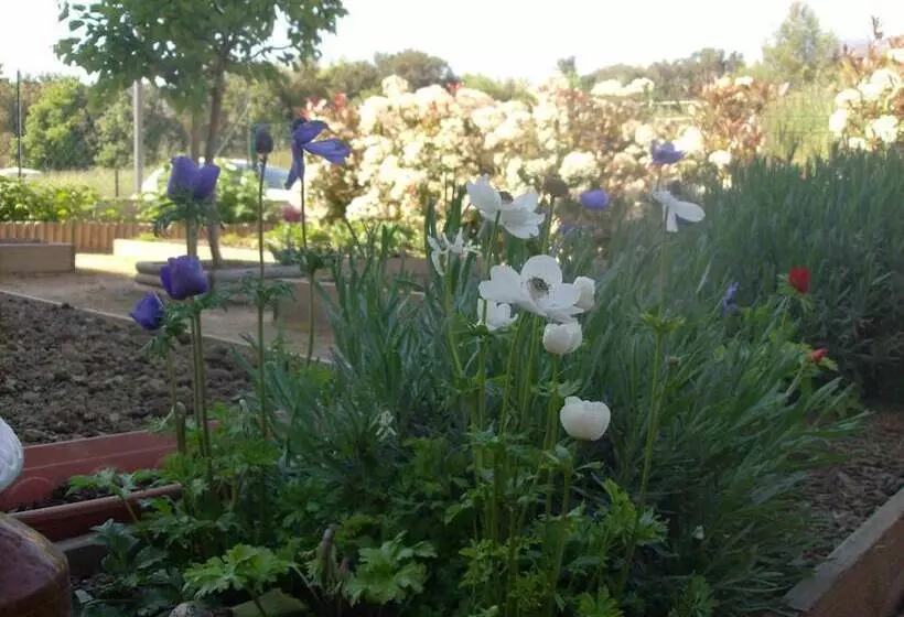 تختخواب و صبحانه Villa Aghjanella