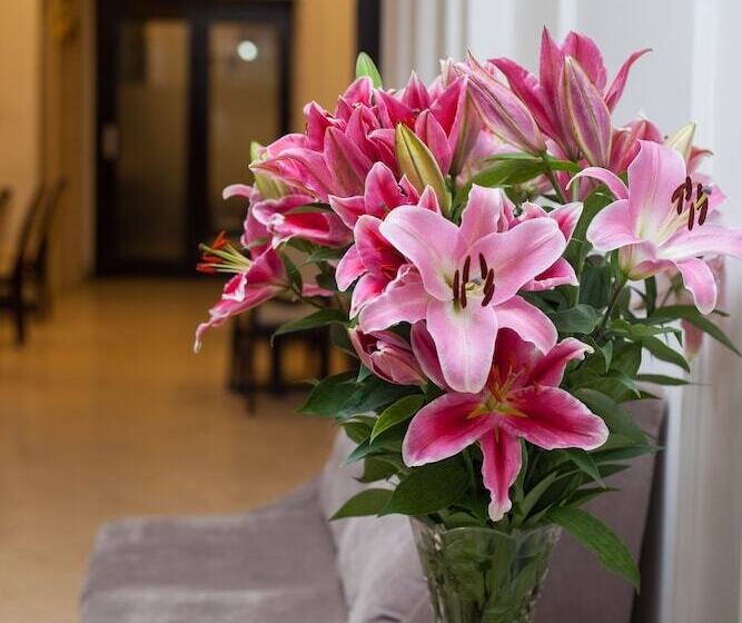 هتل Le Grand Hanoi   The Classic