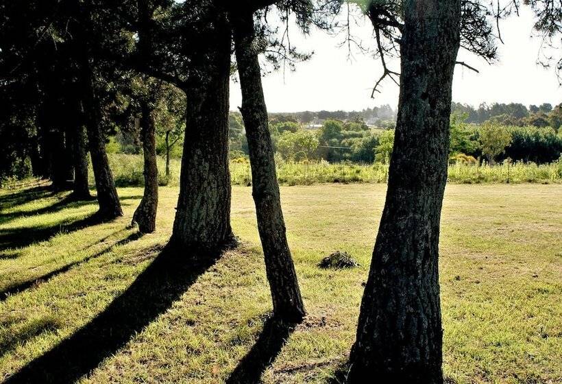 استراحتگاه Ruca Haian. Cabañas Spa & Restó. Tandil