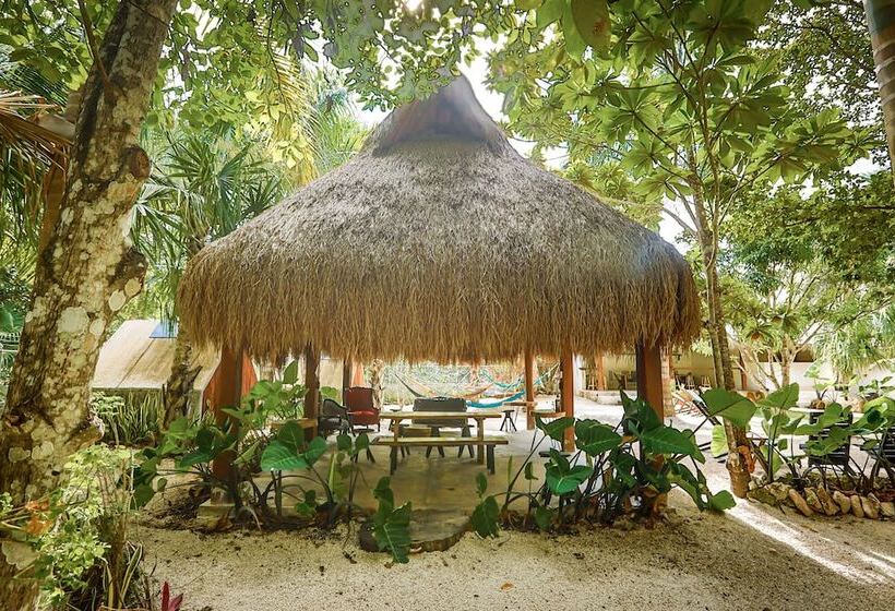 فندق Aldea Elvira