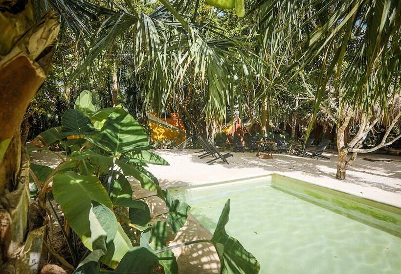 فندق Aldea Elvira