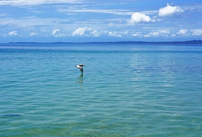 Hotel Casa Cayuco Ecoadventure Lodge