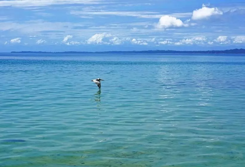 ホテル Casa Cayuco Ecoadventure Lodge