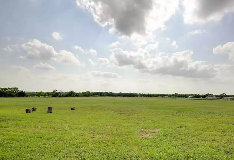 The Oasis Ranch 20 Acre Ranch In Whitewright!