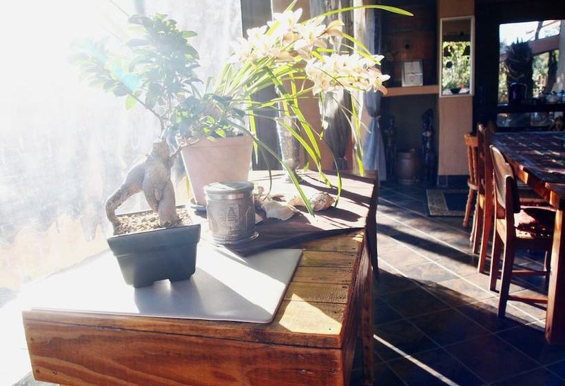 Havana Nights Graskop