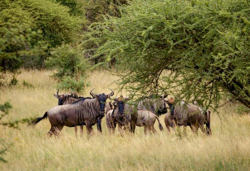 호텔 Finfoot Lake Reserve By Dream Resorts