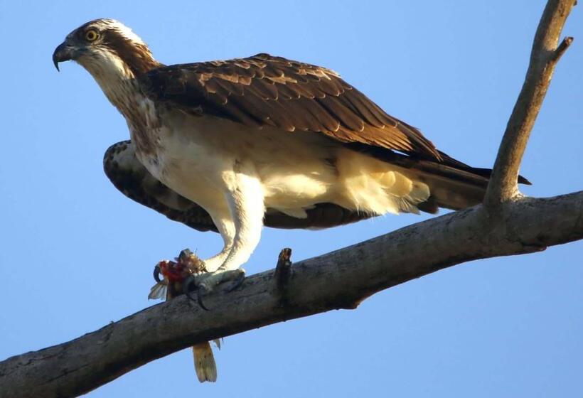 호텔 Finfoot Lake Reserve By Dream Resorts