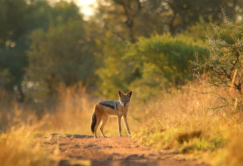 호텔 Finfoot Lake Reserve By Dream Resorts